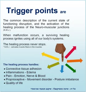 קורס טריגר פוינט